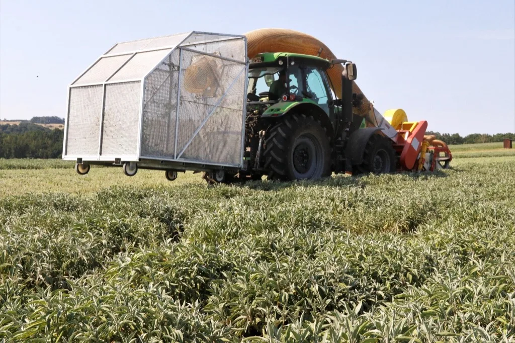 Bombastus-Werke AG - Pressearbeit für Naturheilmittel-Hersteller