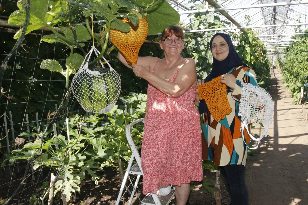 JAB e.V. - Pressetermin Gemüse für den Tafelgarten